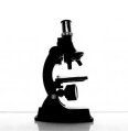 microscope.jpg