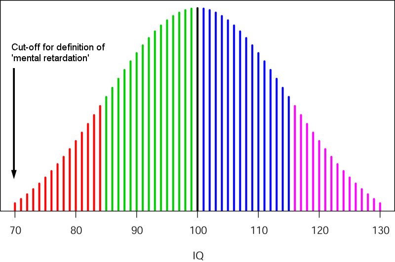 Average Iq Score