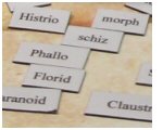 diagnosis_fridge_magnets.jpg