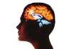 small_epilepsy_image.jpg