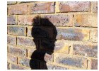 shadow_boy.jpg