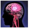 bath_stroke_diagram.jpg