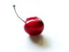 cherry_white_bg.jpg