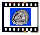 film_cell.jpg