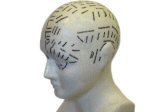 phrenology_head.jpg