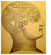 Phrenology1.jpg