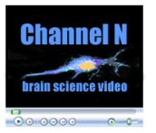 Channel_N_logo.jpg