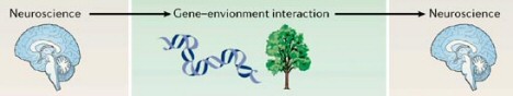 brain_environment_interaction.jpg