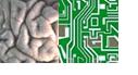 braincomputer.JPG
