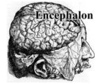 encephalon_logo.jpg