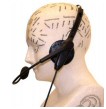 hearing_phrenology.jpg
