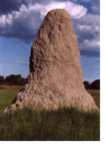 mound.JPG