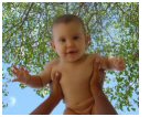 tree_bg_baby.jpg