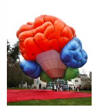 brain_hot_air_balloon.jpg