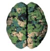 cammo_brain.jpg