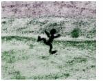 experimental_psychoses_image.jpg