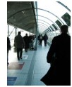 glass_tunnel_walk.jpg