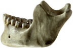 Image from Wikipedia. Click for source