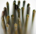 Photo by Flickr user bitzcelt. Click for source
